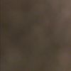h_abdelhalim